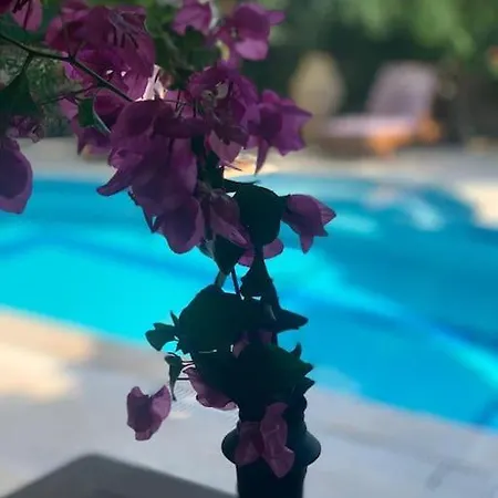 Dalos Gocek Villa