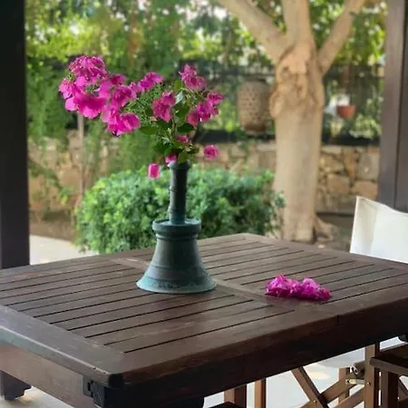 Dalos Gocek Villa *